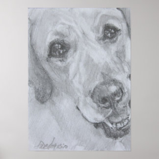 De kijk op liefde poster