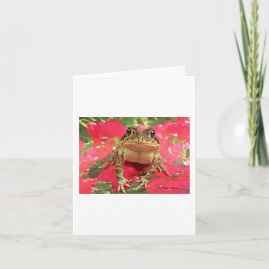 De kikker die van de pad tegen bougainvillearug kaart (Voorkant)