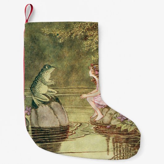 De kikker en de airy kleine kerstsok (Voorkant)
