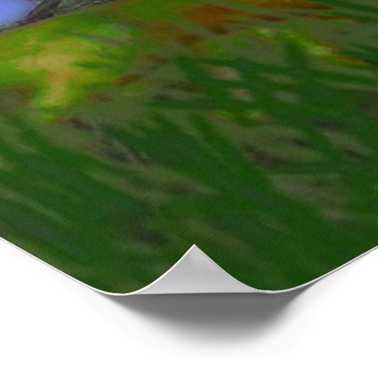 De kikker en de slak afdrukken poster (Hoek)