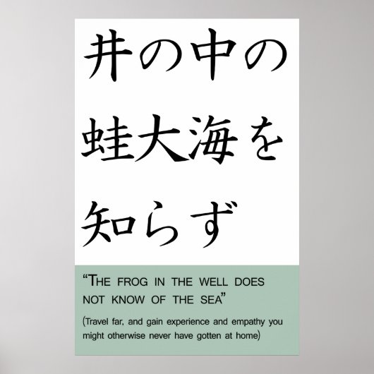 De kikker in de put kent het zee niet poster (Voorkant)