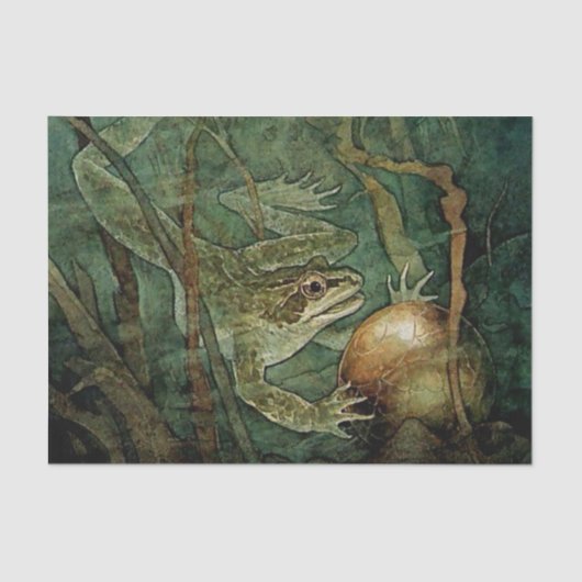 “De Kikkerprins en de Gouden Bal” door Edmund Du Tissuepapier (Voorkant)