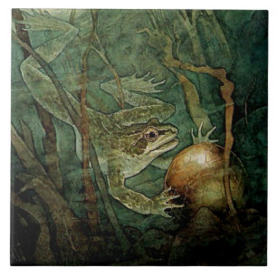 "De kikkerprins en de Gouden Ball" van Edmund Du Tegeltje