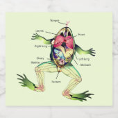 De Kikker's Anatomy Green Bier Etiket (Enkel label)