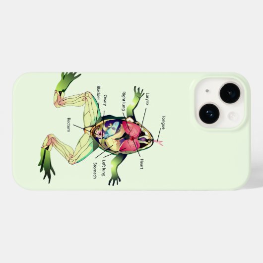De Kikker's Anatomy Green Case-Mate iPhone Case (Achterkant (horizontaal))