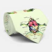 De Kikker's Anatomy Green Stropdas (Opgerold)