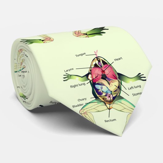 De Kikker's Anatomy Green Stropdas (Opgerold)