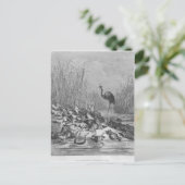 De kikkers die om een koning vragen, briefkaart (Staand voorkant)