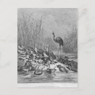 De kikkers die om een koning vragen, briefkaart