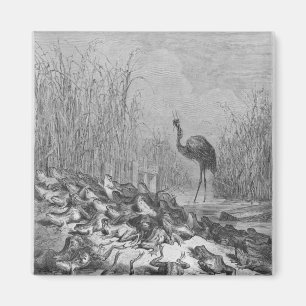 De kikkers die om een koning vragen, magneet