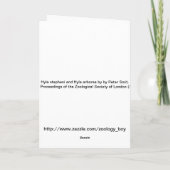 De kikkers van de boom kaart (Achterkant)