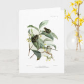 De kikkers van de boom kaart (Gele Bloem)