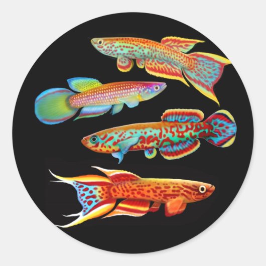 De Killifish Sticker (Voorkant)