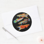 De Killifish Sticker (Envelop)
