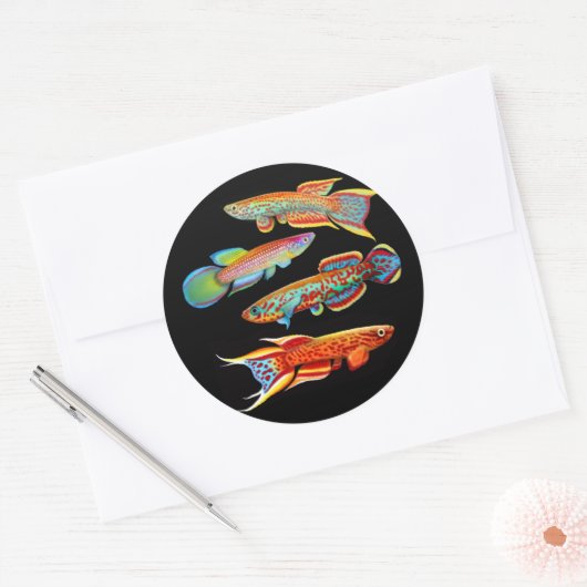 De Killifish Sticker (Envelop)