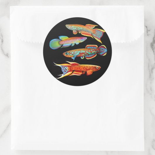 De Killifish Sticker (Tas)
