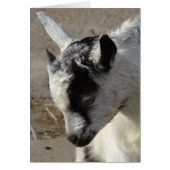 De Kind van de geit (Voorkant)