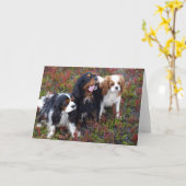 De Kinder Arrogante Koning Charles Spaniels van Kaart (Gele Bloem)