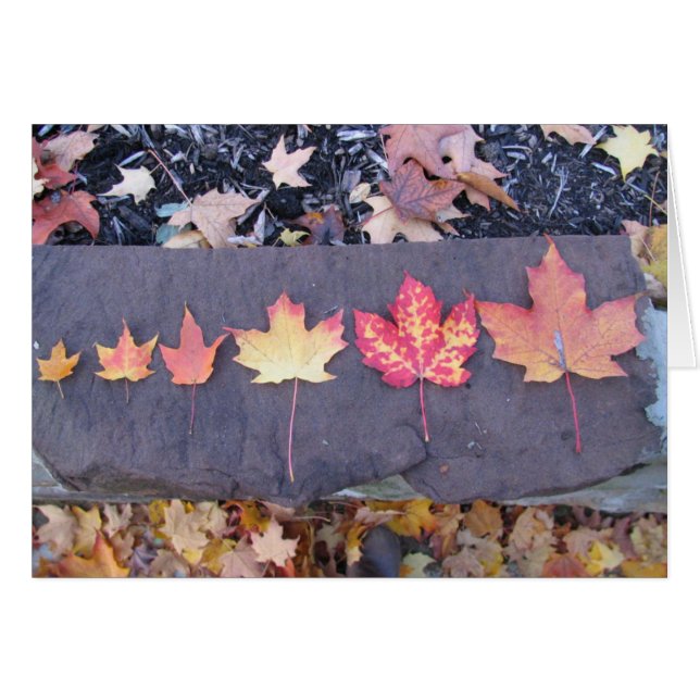 De kindertijd is op de vlucht (Voorkant Horizontaal)