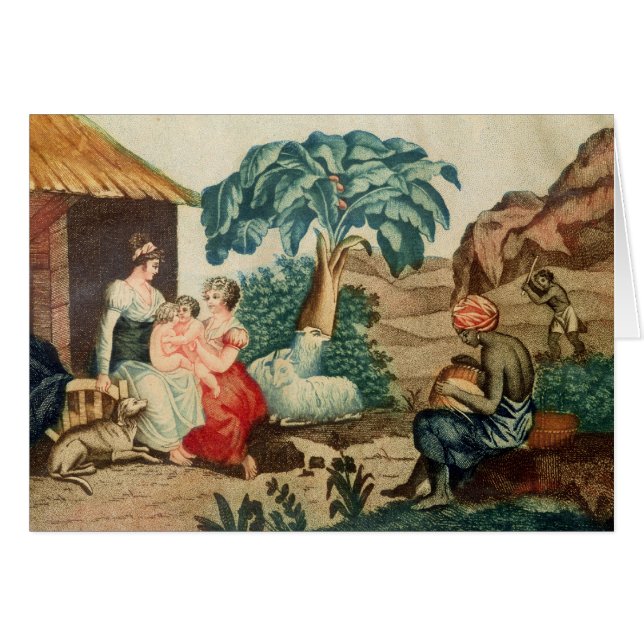 De kindertijd van Paul en Virginie (Voorkant Horizontaal)