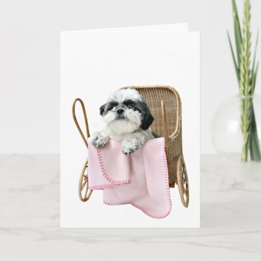 De kinderwagen van Tzu van Shih Kaart (Voorkant)