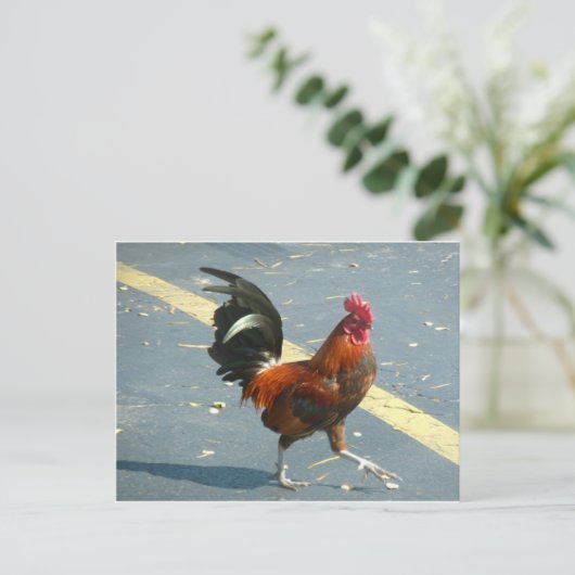 De Kip van Key West Briefkaart (Staand voorkant)