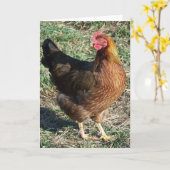 De Kip van Welsummer uit in de Zonneschijn Kaart (Gele Bloem)