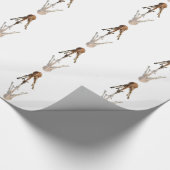 DE KISS CADEAUPAPIER (Hoek)