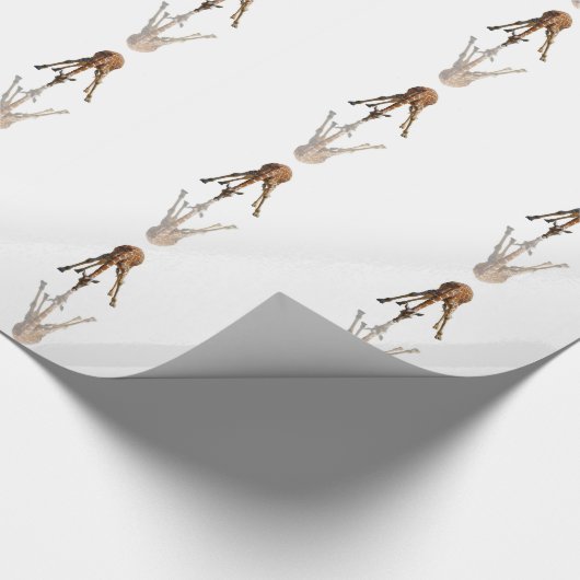 DE KISS CADEAUPAPIER (Hoek)