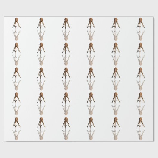 DE KISS CADEAUPAPIER (Vlak)