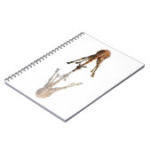 DE KISS NOTITIEBOEK (Linkerzijde)