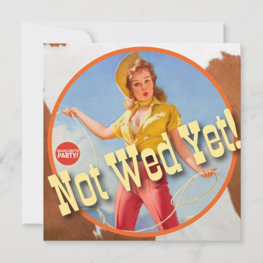 De Kitsch Bitsch : Cowgirl nog niet! Kaart (Voorkant)