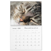 De Kitty Kalender Gouden Glitter (Jan 2027)