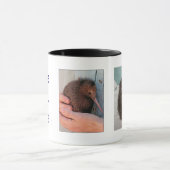 de kiwi's redden!!! mok (Midden)