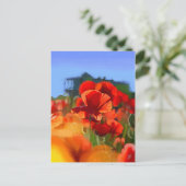 De klaproos huis - olieverfschilderij briefkaart (Staand voorkant)