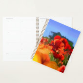 De klaproos huis - olieverfschilderij planner (Display)