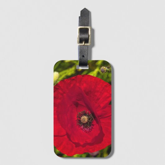 De klaproos serie #2 bagagelabel (Voorkant (verticaal))