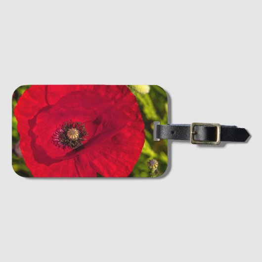 De klaproos serie #2 bagagelabel (Voorkant (horizontaal))