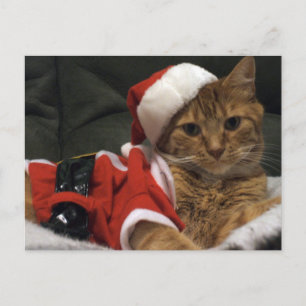 De Klauwen van de kerstman Feestdagenkaart