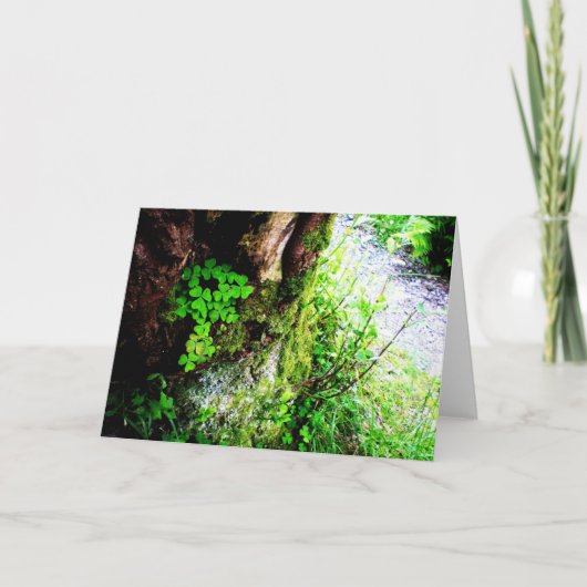 De Klavers van Monniken Kaart (Voorkant)