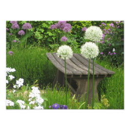 De kleine bank - Kodak Pro de Zatin van de Foto Foto Afdruk