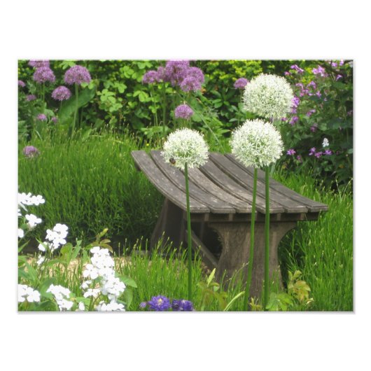 De kleine bank - Kodak Pro de Zatin van de Foto Foto Afdruk (Voorkant)