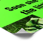 DE KLEINE BROG, POEM poster (Hoek)