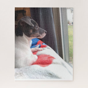 DE KLEINE CHIHUAHUA DOG LEGPUZZEL