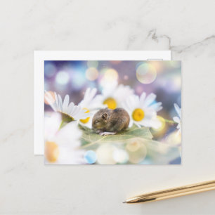 De kleine dingen briefkaart