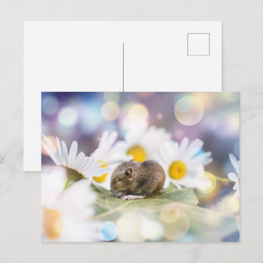 De kleine dingen briefkaart (Voorkant / Achterkant)