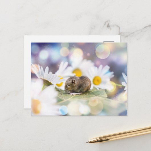 De kleine dingen briefkaart (Voorkant / Achterkant in situ)