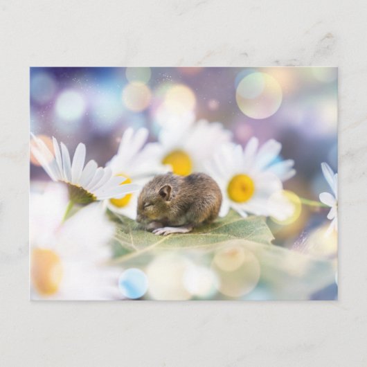 De kleine dingen briefkaart (Voorkant)