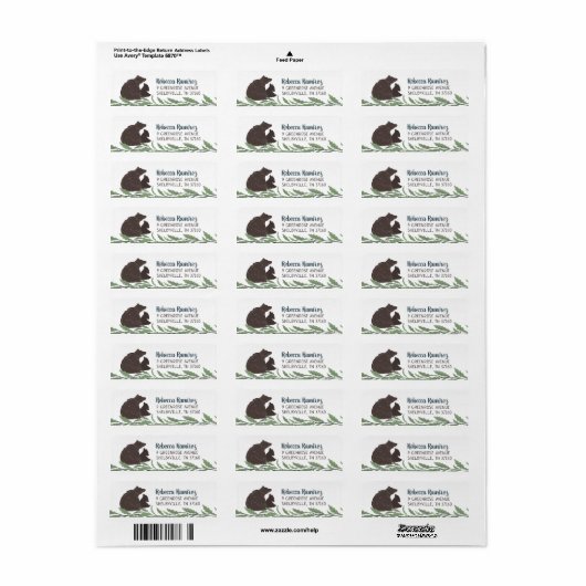 De kleine Etiketten van het Adres van het Baby sho (Full Sheet)