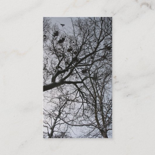 De kleine foto-kaart van de Kroop Visitekaartje (Voorkant)